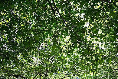 《最终幻想》校服概念图放出 学姐蒂法清纯可人！